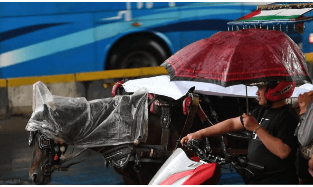 BMKG Prediksi Hujan Guyur Jakarta Seharian pada 2 Januari 2026, Warga Diimbau Waspada Genangan