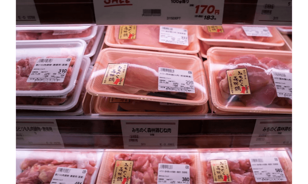 Jepang Konfirmasi Kasus Pertama Flu Burung di Tahun 2026, 6.000 Ayam Dimusnahkan di Miyazaki