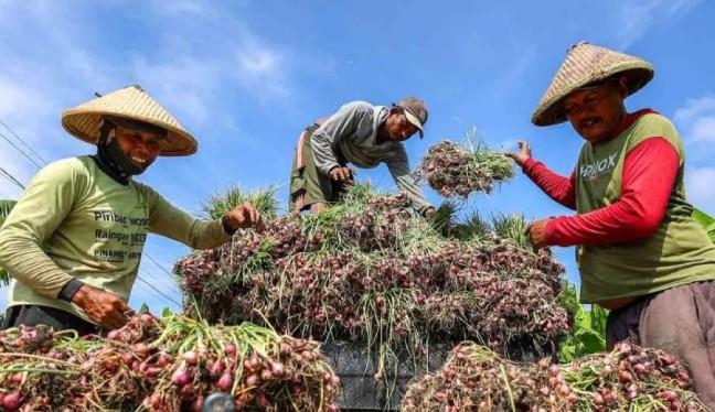Pengamat Dorong Pemerintah Perkuat Antisipasi Inflasi Pangan Jelang Imlek dan Ramadhan 2026