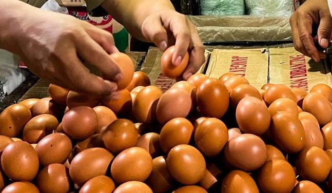 PIHPS Catat Harga Cabai Rawit Merah Rp67.500 per Kg dan Telur Ayam Rp33.900 per Kg