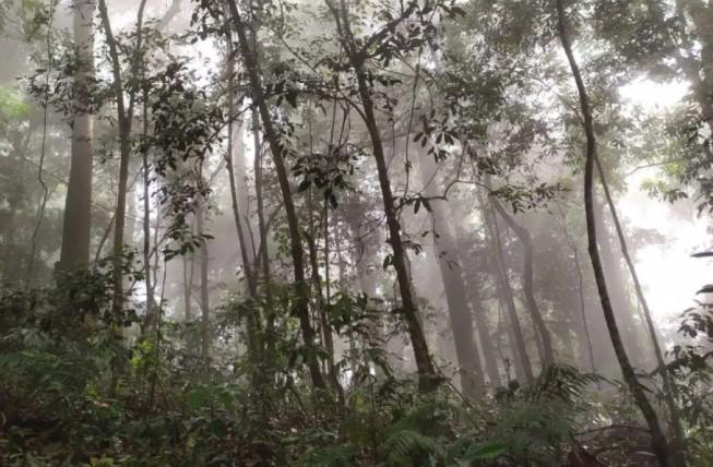 Kementerian Kehutanan Klarifikasi Kehadiran Penyidik Kejagung di Ditjen Planologi Kehutanan