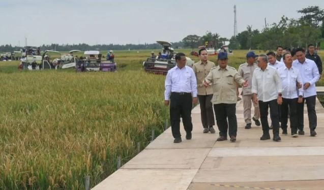 Surplus Beras Nasional Naik 243 Persen, Prabowo Resmikan Swasembada Pangan 2025 di Karawang