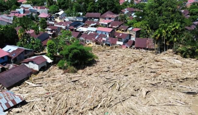 Kementerian Kehutanan Petakan 49.197 Hektare Area Rehabilitasi Pascabencana di Sumatera