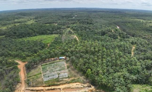 Badan Bank Tanah Dampingi Warga Terdampak PSN Kelola Lahan Reforma Agraria di Penajam Paser Utara