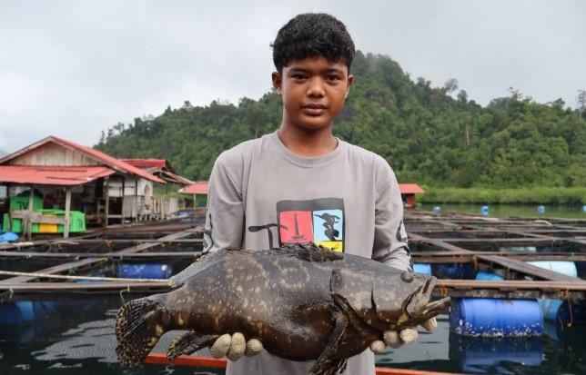 Kampung Nelayan Merah Putih Bentenge Bulukumba Tembus Pasar Arab Saudi Lewat Ekspor Perdana Ikan Segar