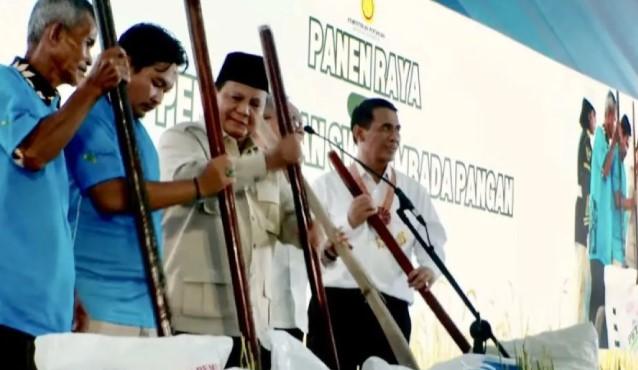 Swasembada Beras 2025 Resmi Diumumkan, Indonesia Kukuhkan Ketahanan Pangan Nasional