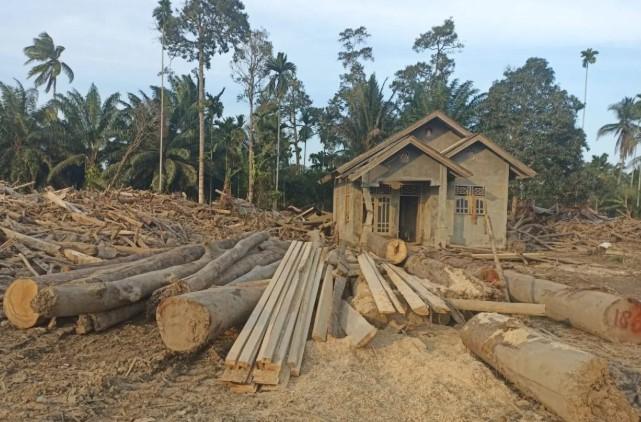 Kementerian Kehutanan Data 769 Batang Kayu Hanyut Banjir untuk Hunian Sementara Warga Aceh Utara