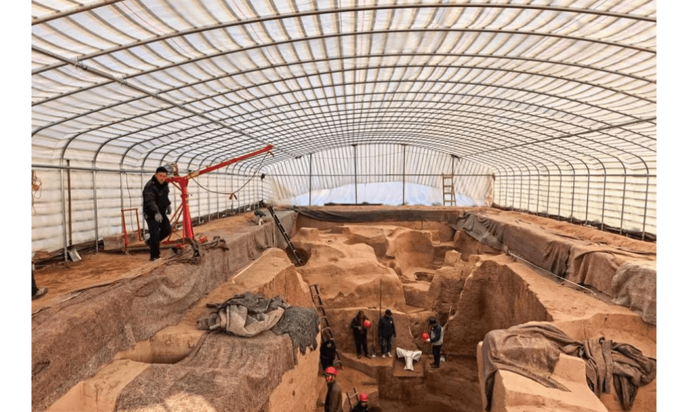 Makam Kerajaan di Anyang Ungkap Koleksi Satwa Liar Langka Tertua dalam Sejarah China