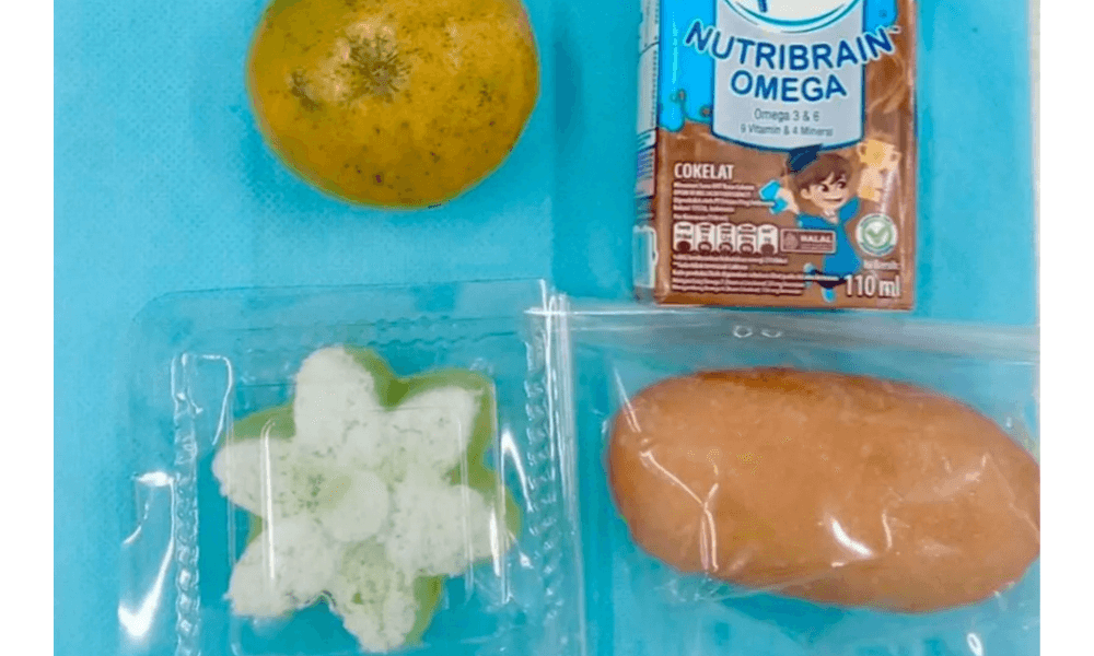 SPPG Pandeglang Klarifikasi Video Viral Makanan MBG Pakai Kantong Plastik, Tegaskan Tetap Layak Konsumsi