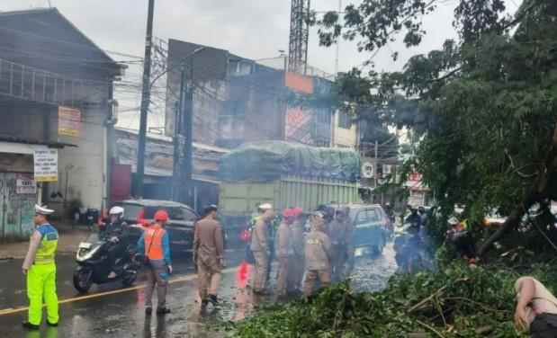 Polsek Ciputat Timur Sigap Tangani Pohon Tumbang di Jalan RE Martadinata