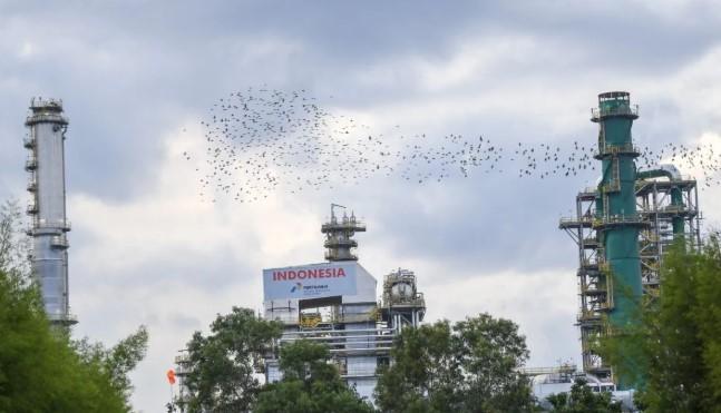 Pertamina Dorong Pencapaian Target Lifting Minyak Nasional 2025, Pakar Apresiasi Kontribusi Signifikan