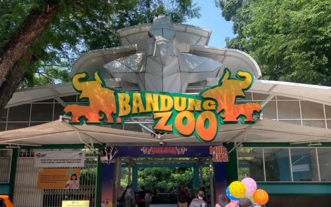 Pemkot Bandung Buka Opsi Penutupan Operasional Kebun Binatang Bandung, Keputusan Ditargetkan Dua Bulan
