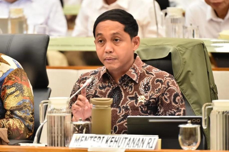 Pemanfaatan Kayu Pascabencana Diperketat, Kementerian Kehutanan Terapkan Moratorium Penebangan di Sumatera