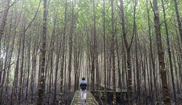 Survei Rimba: Gen Z Nilai Pelestarian Alam sebagai Kepentingan Nasional dan Bela Negara Nonmiliter