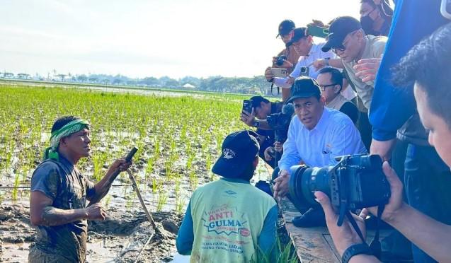 Kementerian Pertanian Mulai Rehabilitasi Sawah Terdampak Banjir dan Longsor di Sumatera