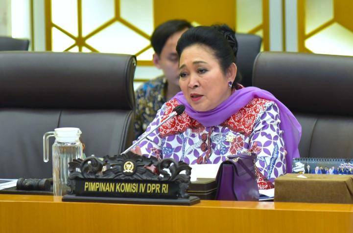 Raker Pascabencana, Ketua Komisi IV DPR RI Dorong Penguatan Anggaran Pemulihan Sektor Terdampak
