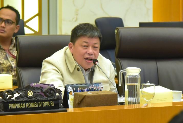 Komisi IV DPR RI Tekankan Rehabilitasi Pascabencana Harus Menyeluruh dari Hulu ke Hilir