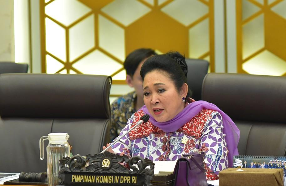 Respons Cepat Kementerian Pertanian Dapat Apresiasi DPR RI atas Penanganan Bencana di Sumatra