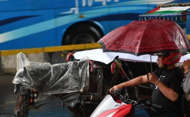 Jakarta Diperkirakan Diguyur Hujan dari Siang hingga Malam Hari
