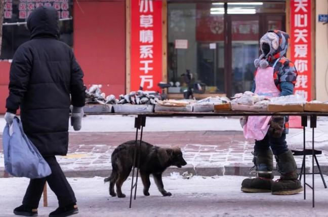 Pasar Pagi di Heilongjiang Tetap Ramai Meski Suhu Capai Minus 30 Derajat Celsius