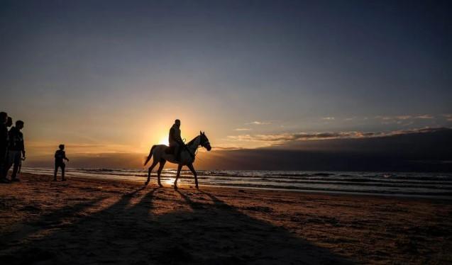 Komite Gaza Dibentuk, Trump Pimpin Arah Transisi Kekuasaan di Jalur Gaza