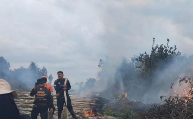 BNPB: Karhutla Terjadi di Aceh, Riau, dan Kalteng Meski Masih Musim Hujan
