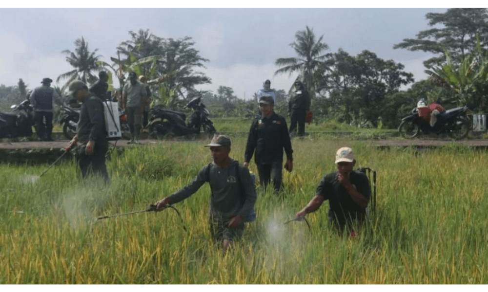 Pemkab Kuningan Alokasikan Rp76 Miliar untuk Perkuat Ketahanan Pangan dan Ekonomi Desa