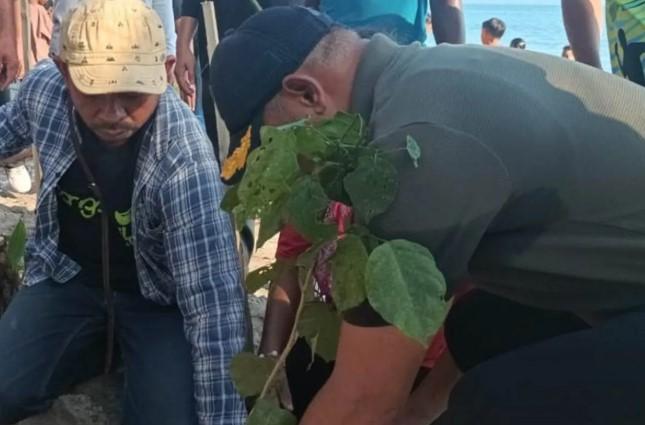 Pengembangan Malapari di Lembata Dinilai Perkuat Ketahanan Energi Hijau Nasional