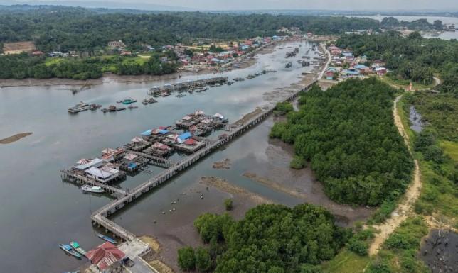 Pemerintah Tetapkan Peta Mangrove Nasional 2025 Seluas 3,45 Juta Hektare di 37 Provinsi