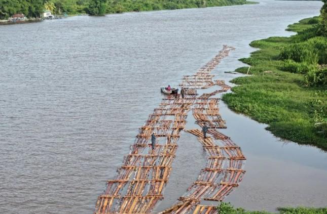 Gakkum Kehutanan Gagalkan Peredaran 600 Batang Kayu Ilegal di Sungai Pawan Ketapang
