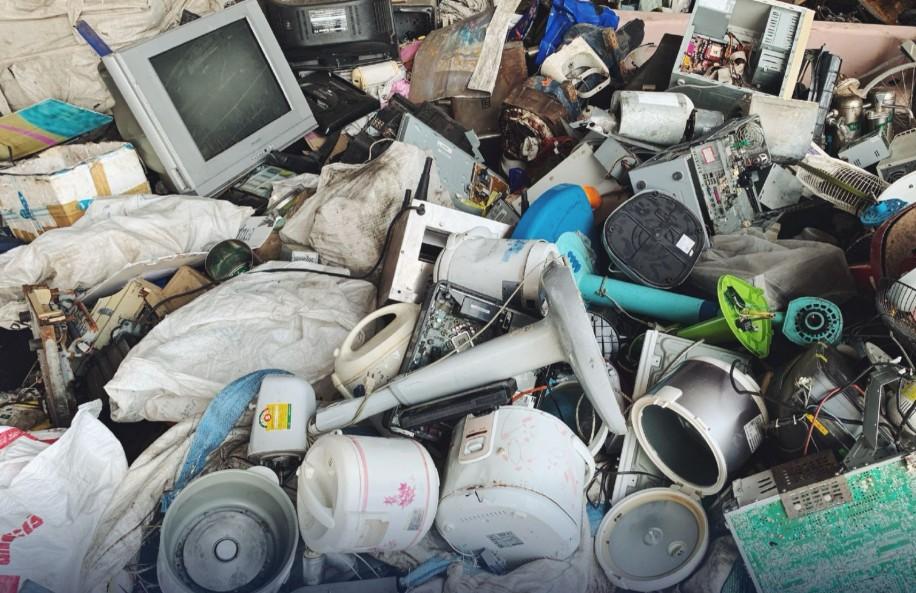 Gandeng WCO dan Interpol, Bea Cukai Perangi Kejahatan Lingkungan Lewat Operasi Demeter XI dan Thunder 2025