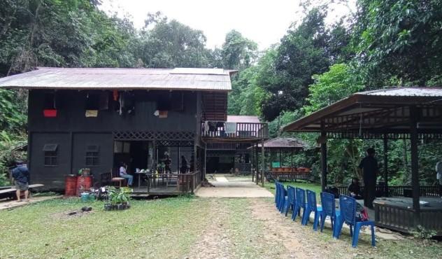 1.618 Spesies Flora-Fauna Ditemukan di Wehea-Kelay, Kalimantan Timur: Habitat Satwa Langka di Luar Kawasan Konservasi