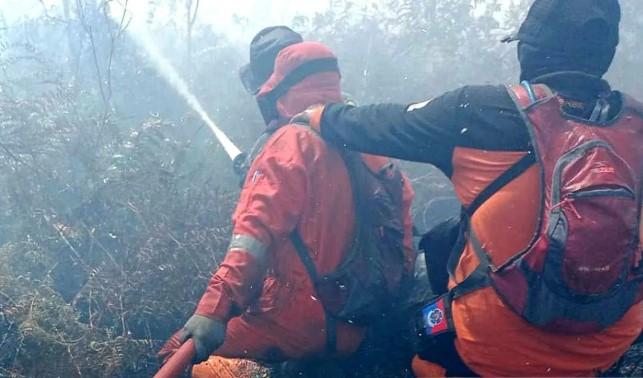 Kebakaran Lahan di Aceh Barat Meluas Jadi 10 Hektare, BPBD: Angin Kencang Hambat Pemadaman