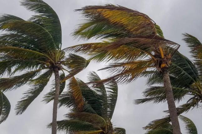 Siklon Tropis Luana Picu Angin Kencang di Jawa Tengah Selatan, BMKG Imbau Waspada
