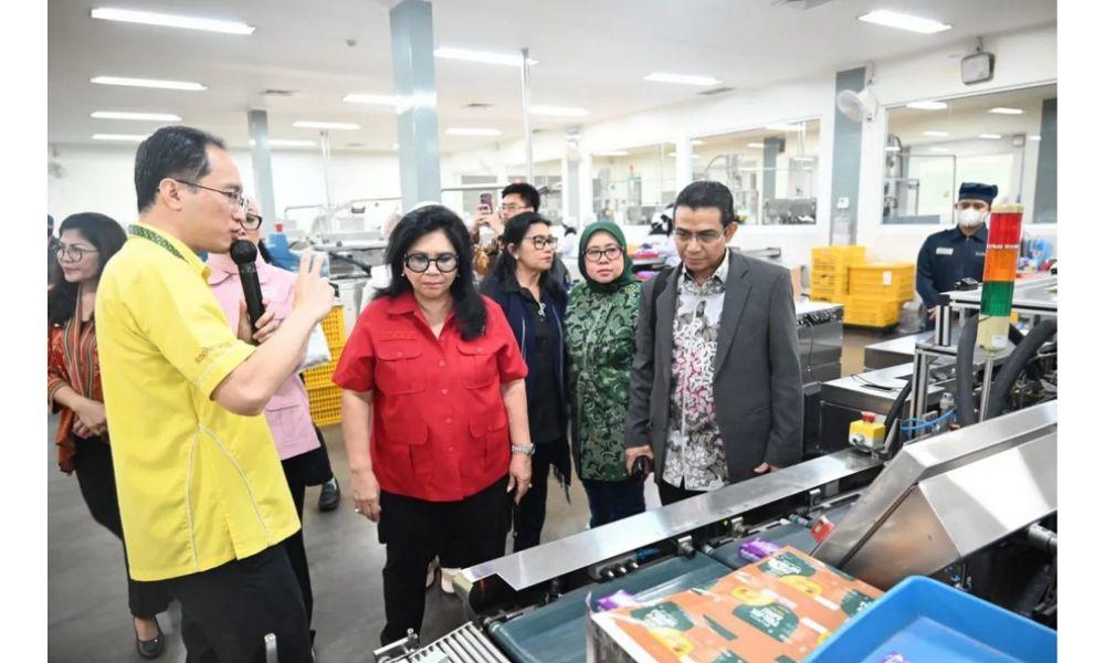 Komisi VII Dorong Pembinaan UMKM Jamu Lokal, Gandeng Kemenperin dan Industri Besar