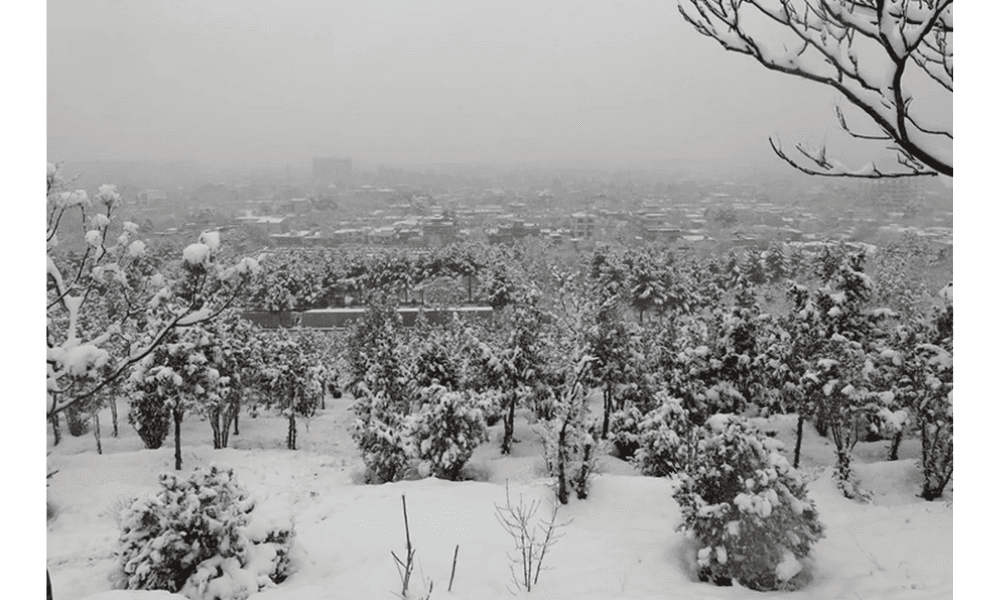 Banjir Salju dan Hujan Lebat di Afghanistan Tewaskan 61 Orang dan Rusak Ratusan Rumah