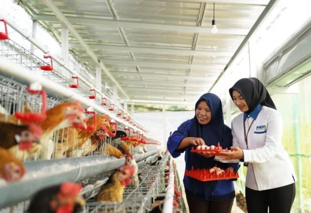 PNM Perkuat Ketahanan Pangan Keluarga Melalui Program Berbasis Komunitas di Desa