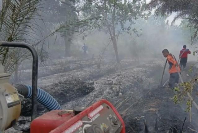 BMKG Kotim Ingatkan Potensi Karhutla Meningkat Akibat Curah Hujan Rendah hingga Akhir Januari 2026