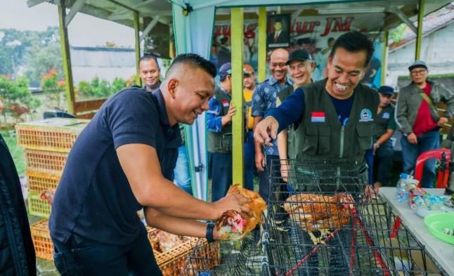 Bogor Kembangkan Peternakan Ayam Petelur Berbasis LPM untuk Dukung Program Makan Bergizi Gratis