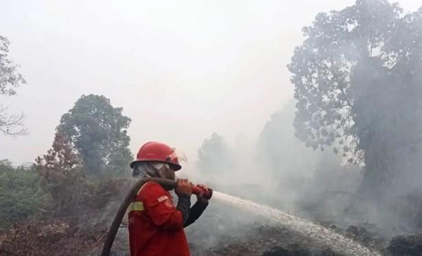 Kebakaran Lahan di Aceh Barat Capai 19 Hektare, BPBD Terus Lakukan Pengendalian di Tengah Kendala Cuaca