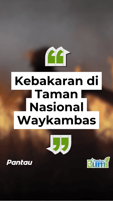 KEBAKARAN DI TAMAN NASIONAL WAY KAMBAS