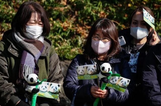 Dua Panda Terakhir Tinggalkan Jepang, Akhiri 50 Tahun Kehadiran Panda Raksasa di Negeri Sakura