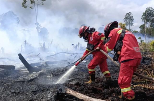 Manggala Agni Bergerak Cepat Padamkan Karhutla di Kalimantan Barat, 25 Titik Panas Terdeteksi