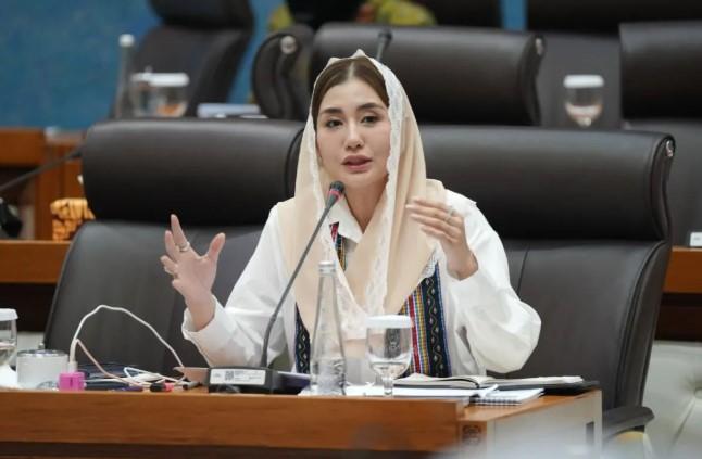 Anggota DPR Nilai Pekerja Kreatif Belum Terlindungi Meski Ekonomi Terus Tumbuh