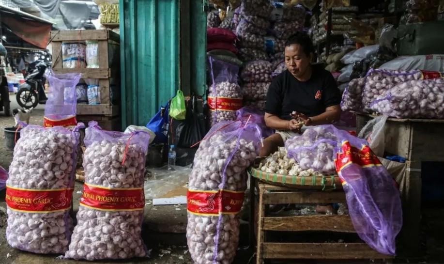 Pemerintah Pastikan Bawang Putih Impor Segera Masuk, Harga Diharapkan Turun Jelang Ramadan