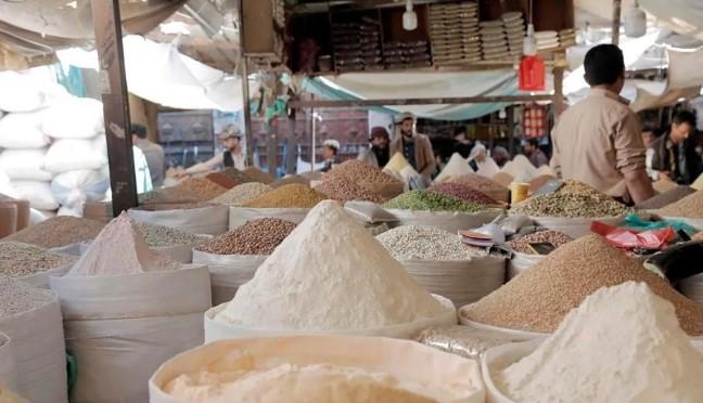 WFP Tangguhkan Operasi di Wilayah Houthi Yaman Mulai 31 Maret 2026