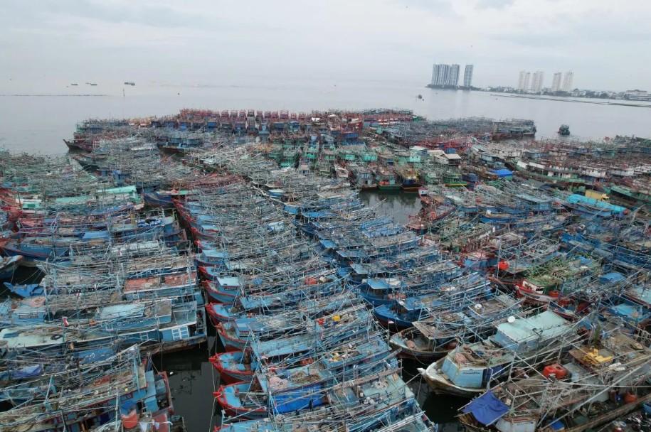 KKP Lakukan Penataan Kapal di PPN Muara Angke untuk Tingkatkan Keselamatan dan Kelancaran Pelabuhan