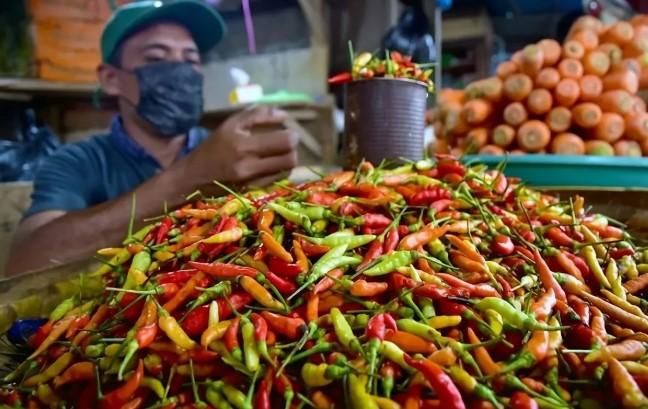 Sejumlah Komoditas Pangan Alami Penurunan Harga, Bawang dan Cabai Turun di Akhir Januari 2026