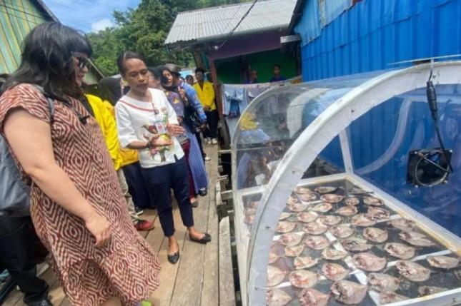 Uncen Kembangkan Teknologi Surya untuk Bantu Nelayan Jayapura Kurangi Kerugian Ikan Rusak