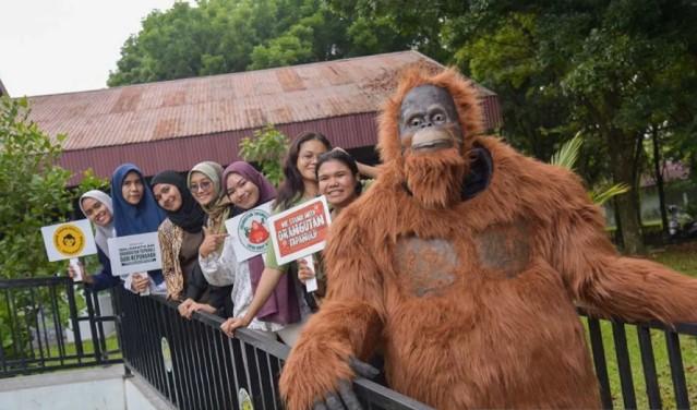 Belantara Foundation Dorong Kolaborasi Pentahelix Selamatkan Primata Terancam Punah di Hari Primata Indonesia 2026